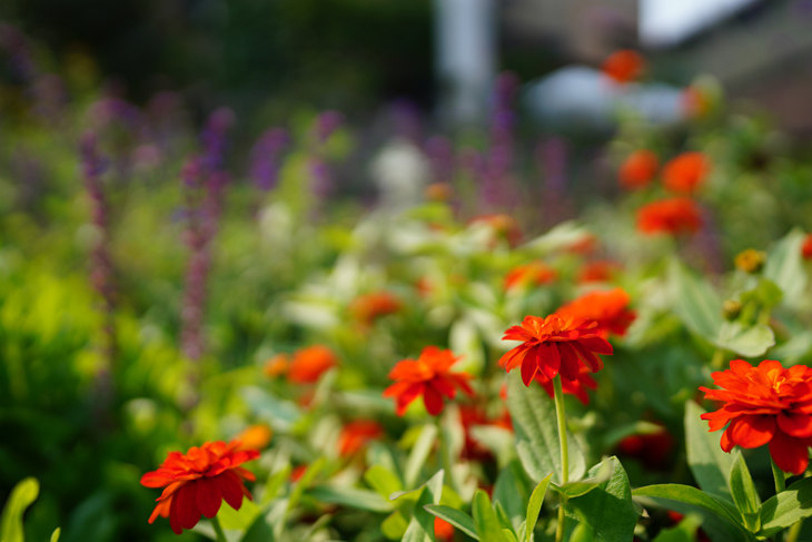 同级别中最轻巧 索尼G大师镜头FE 24mm F1.4