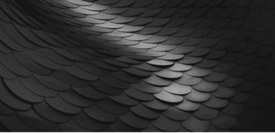 298703.png_p-730x550