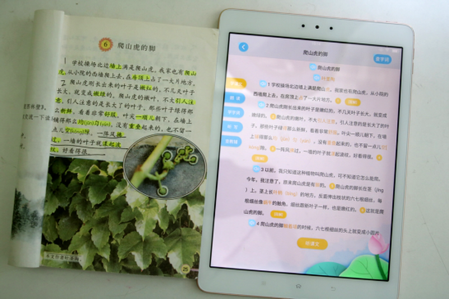 396244.png_p-730x550