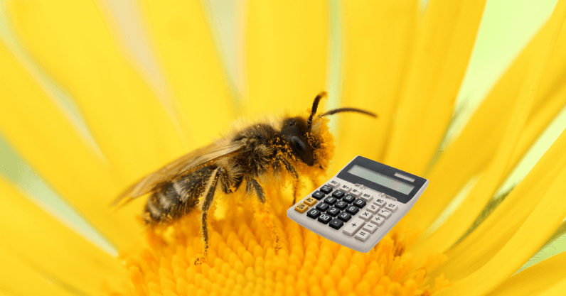 蜜蜂也能做算术？ 数字认知能力也同样存在于动物中