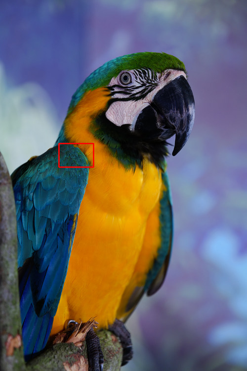 最低售价16398元 松下LUMIX S全画幅无反相机