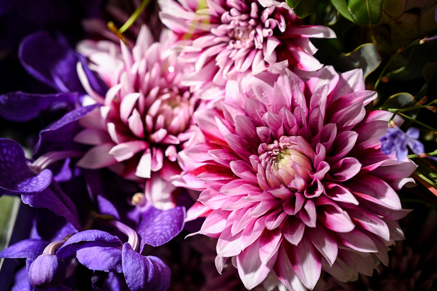 问答:相比索尼A7III 尼康Z7全画幅微单高ISO的