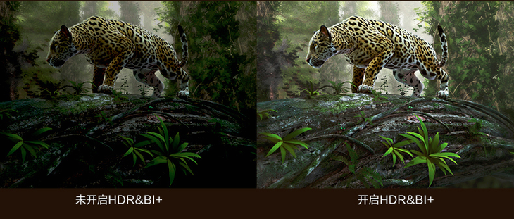 大火的HDR技术到底是什么?HDR显示器值得买
