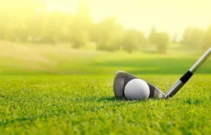 高尔夫球杆排行_高尔夫球杆十大品牌排行榜高尔夫球杆十大品牌排行榜详细(2)