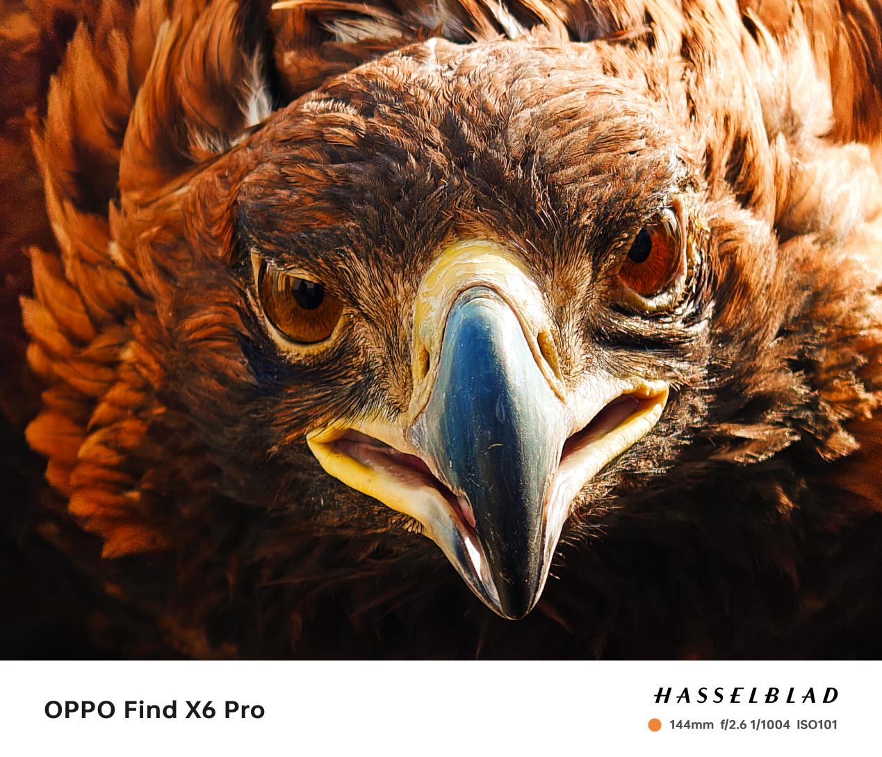 OPPO Find X6 系列于3月21日发布，将配备超光影三主摄