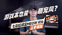 七彩虹橘宝MEOW R16 上手体验：游戏本也能萌宠风？