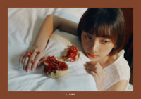 LUMIX Lab ver1.6 重磅更新