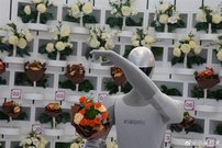 小米发布大模型驱动人形机器人「花艺师」：66自由度具身智能首秀