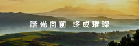 熟悉旋律再次响起，华为Mate 90系列如何续写踏光向前的故事？