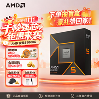 双十一战未来装机：AMD 锐龙5 9600X搭配单通道DDR5内存