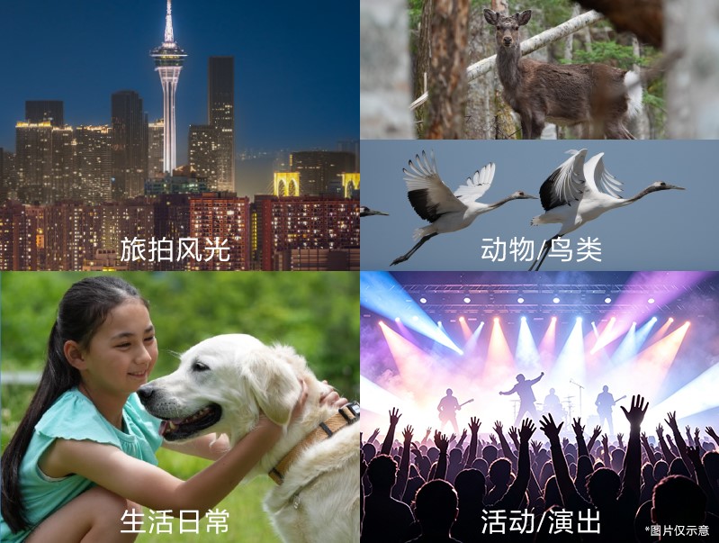 1785853461250691.jpg 3 拍摄题材.jpg