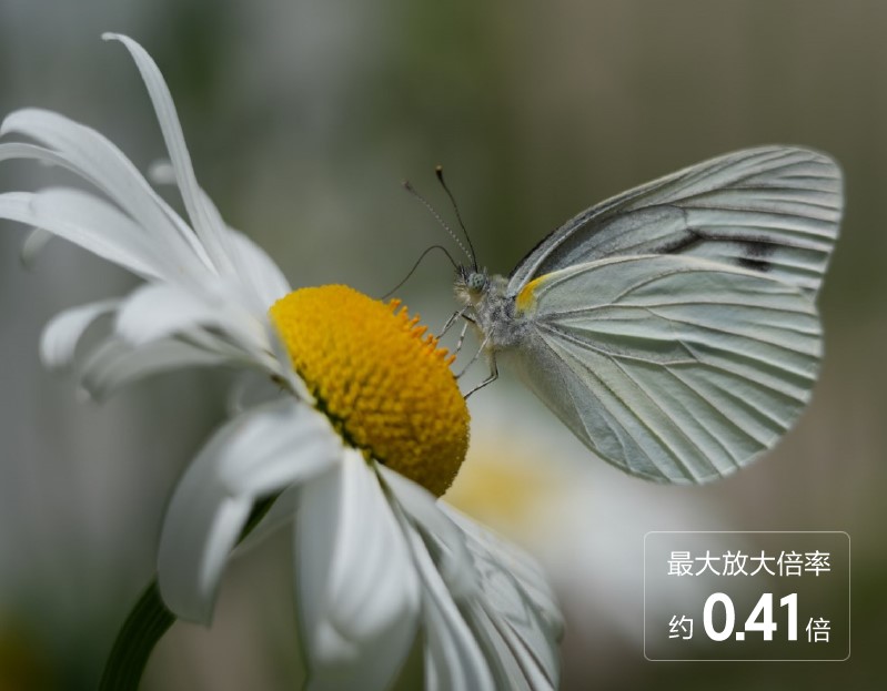 1785853609602070.jpg 6 近摄性能.jpg