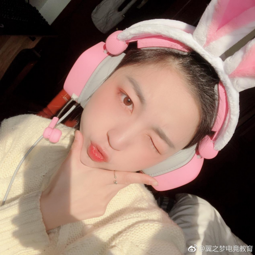 ɶȣS21ŮPinkϷ