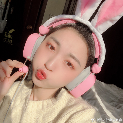 ɶȣS21ŮPinkϷ