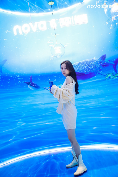 ʥȥ?麣¡黪Ϊnova6ϵдһ