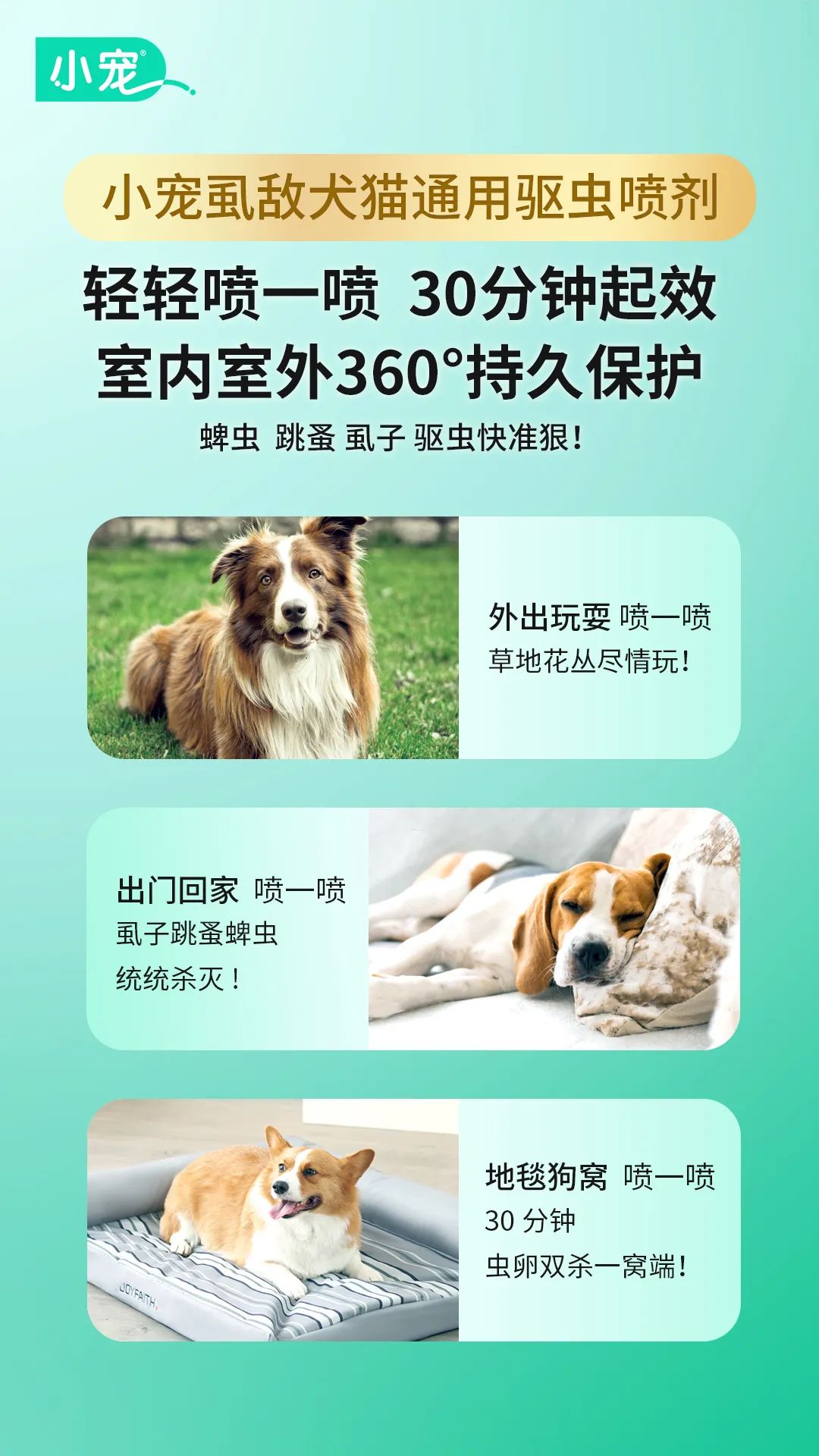 4349917.jpg
