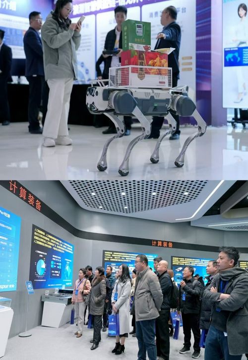 “披荆斩棘如何打造新质生产力星空体育APP之刃” 中国电子高峰论坛成功召开(图7)