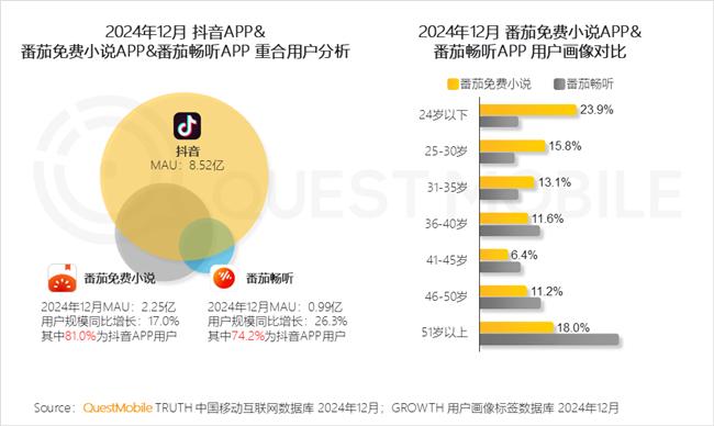 QuestMobile：2024年中国移动互联网典型行业年度洞察(图17)