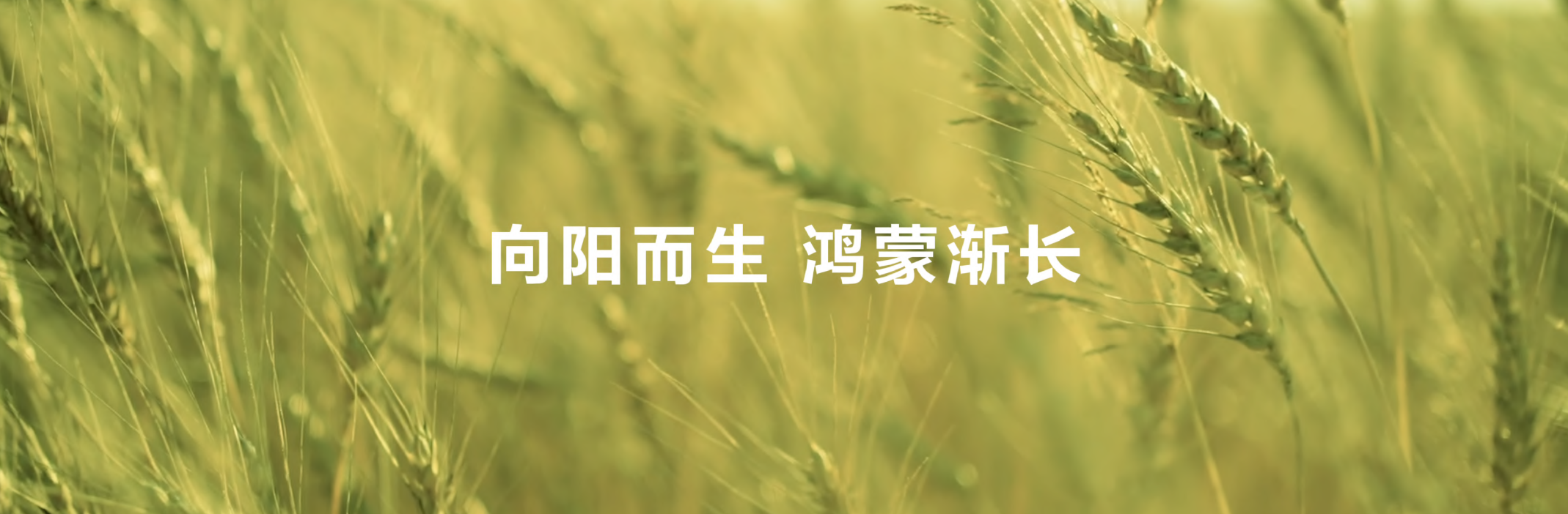 8向陽而生.png
