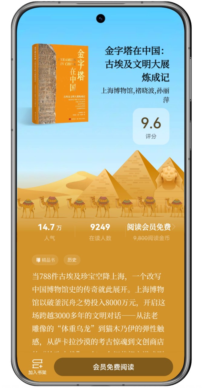 金字塔在中國-含機框圖.jpg