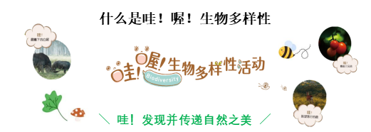 圖片1.png