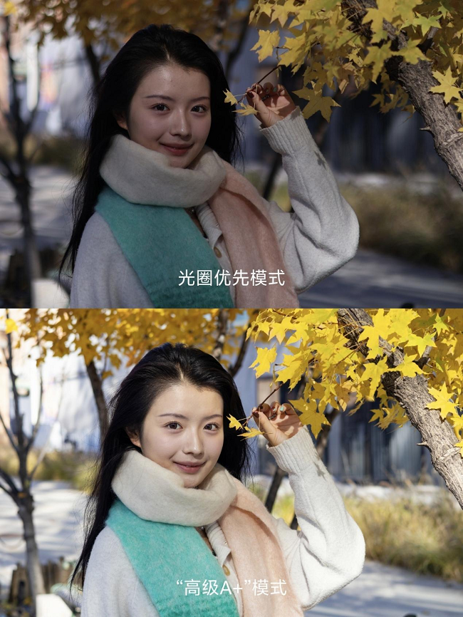图片 22.png
