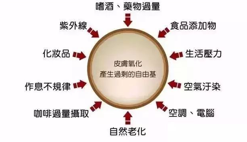 668669.jpg_p-w500
