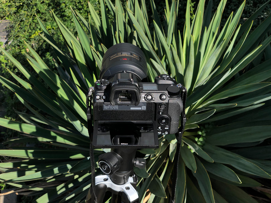超高分辨率高便携性 全画幅微单 Nikon Z7微距实战 33